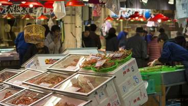 観光スポット / 7