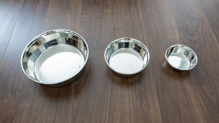 ベーシック アパートメント