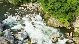 和洋室 共有バスルーム 禁煙