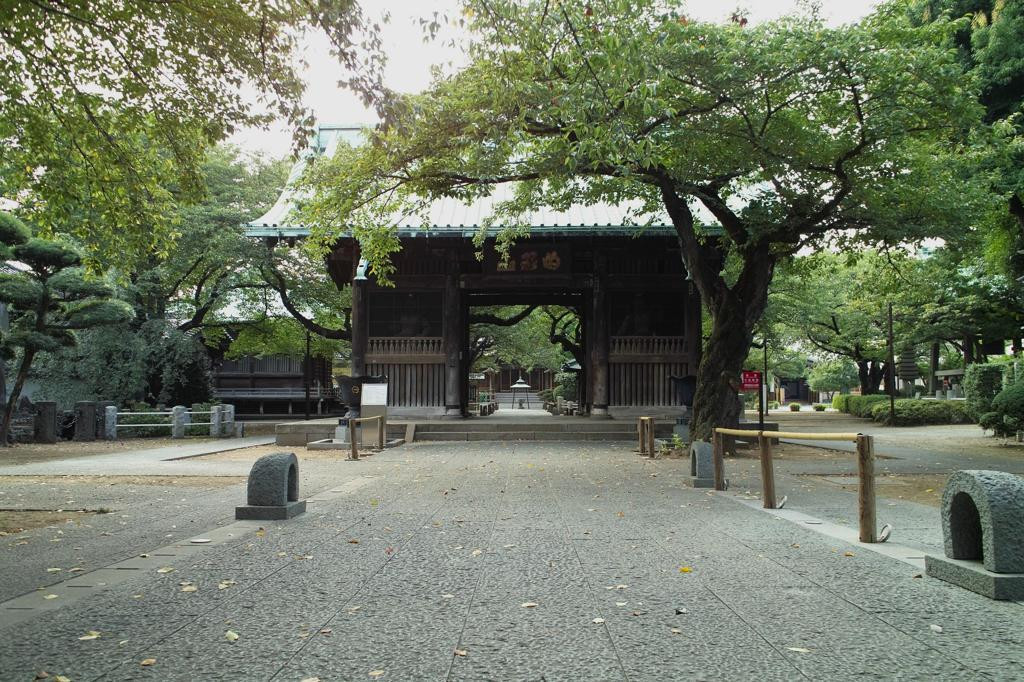 祐天寺1442033