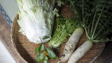 食事・飲み物 / 13