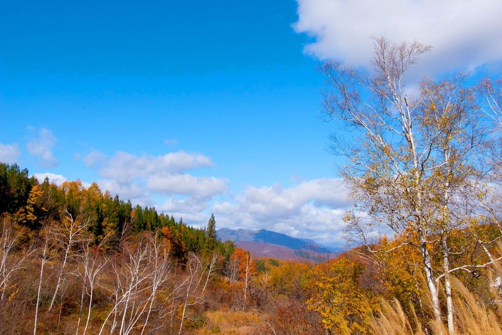 施設からの眺望