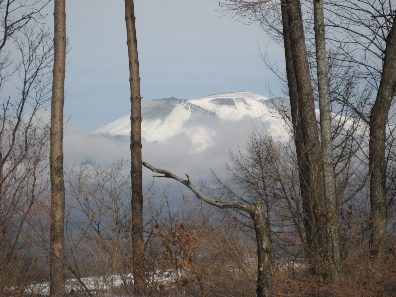 12.オナーズヒル軽井沢 ～ホテル＆貸別荘～3345961