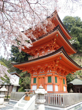 宝厳寺三重の塔950917
