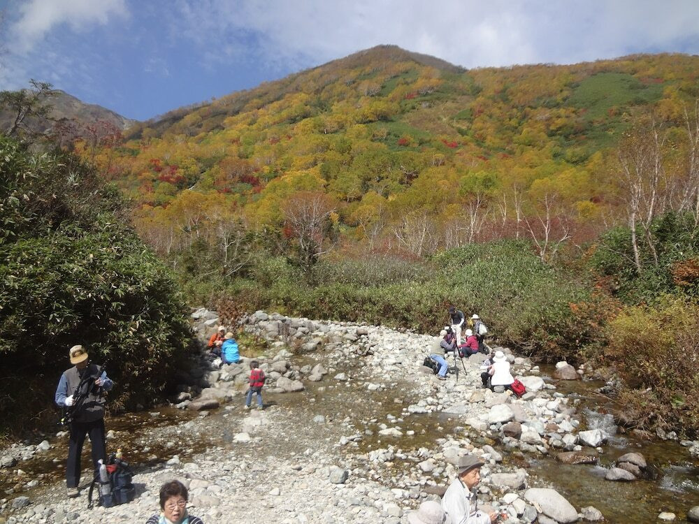 マウンテン ビュー