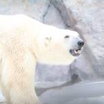 リーズナブルに非日常気分でリフレッシュ♩上野で楽しむ1泊2日の小旅行プラン／東京都