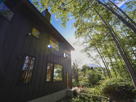 グリーン茶草 / 3