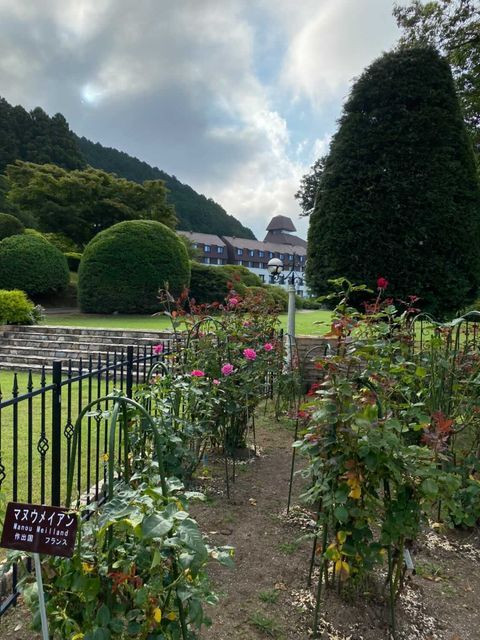 iijimatakakoさんの写真 / 2