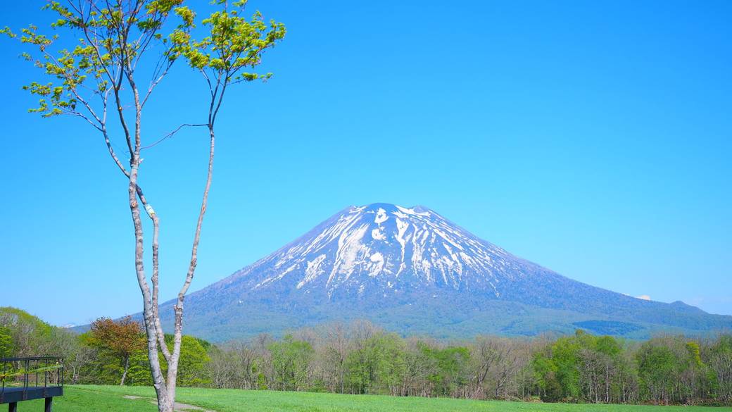 ニセコ高橋牧場 / 1