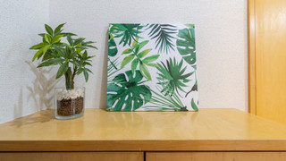 コンフォート コンドミニアム 禁煙