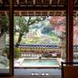 【お勧め◆特別室基本プラン】■お部屋食■源泉掛け流し露天風呂付き客室で美肌の湯を満喫＜1泊2食付＞ | 若松 箱根湯河原