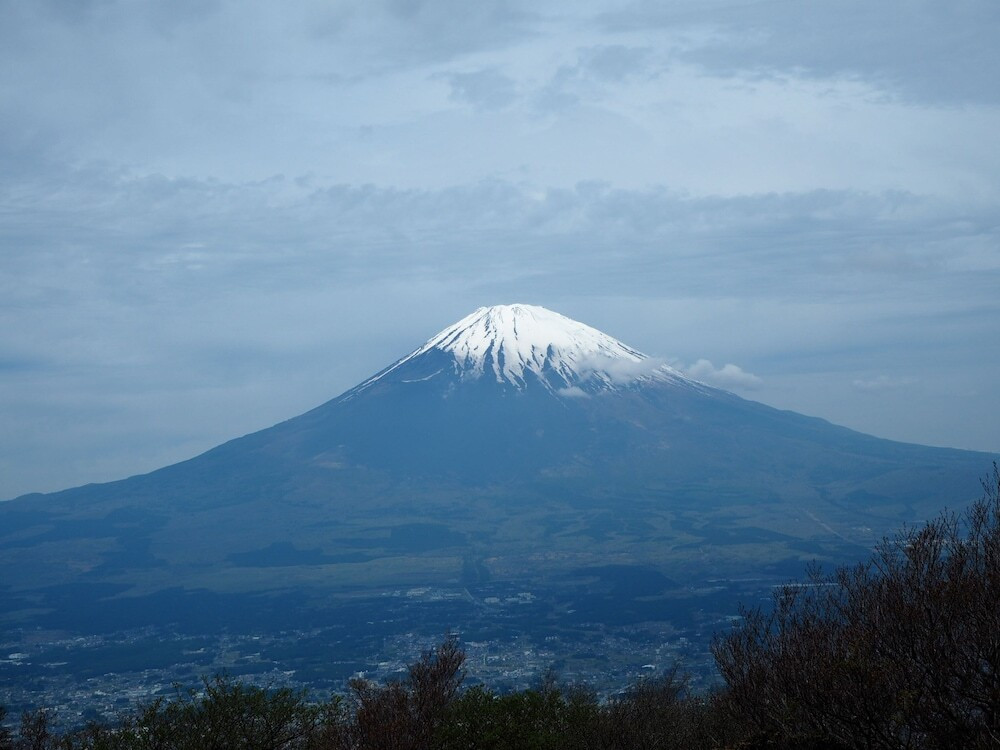 航空写真