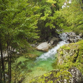 サラサラ、そよそよ。清流のほとりでリフレッシュ3717584