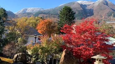 施設の敷地 / 17