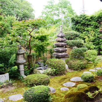 歴史ある土地に佇む静かな老舗旅館3647203