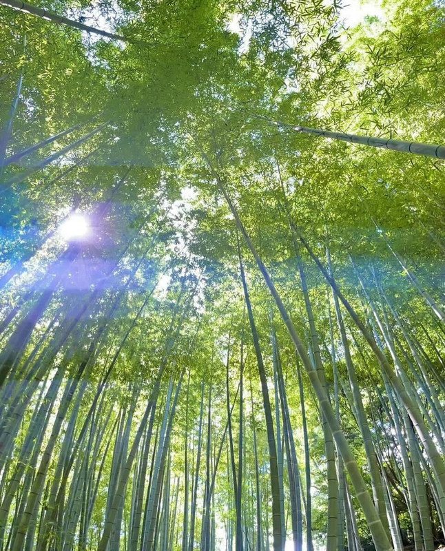 suna_travel_lifeさんの写真 / 5