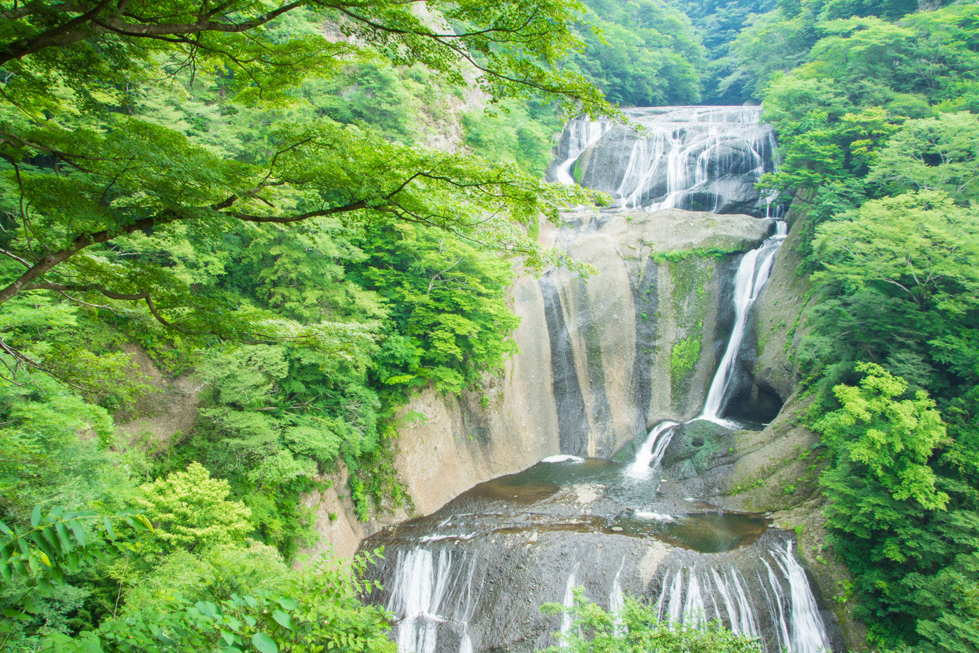 新緑の袋田の滝