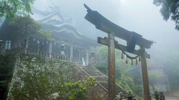 ランド ビュー / 16