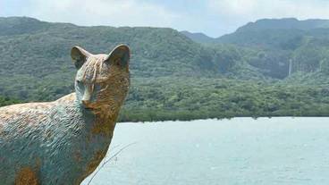 ランド ビュー / 20