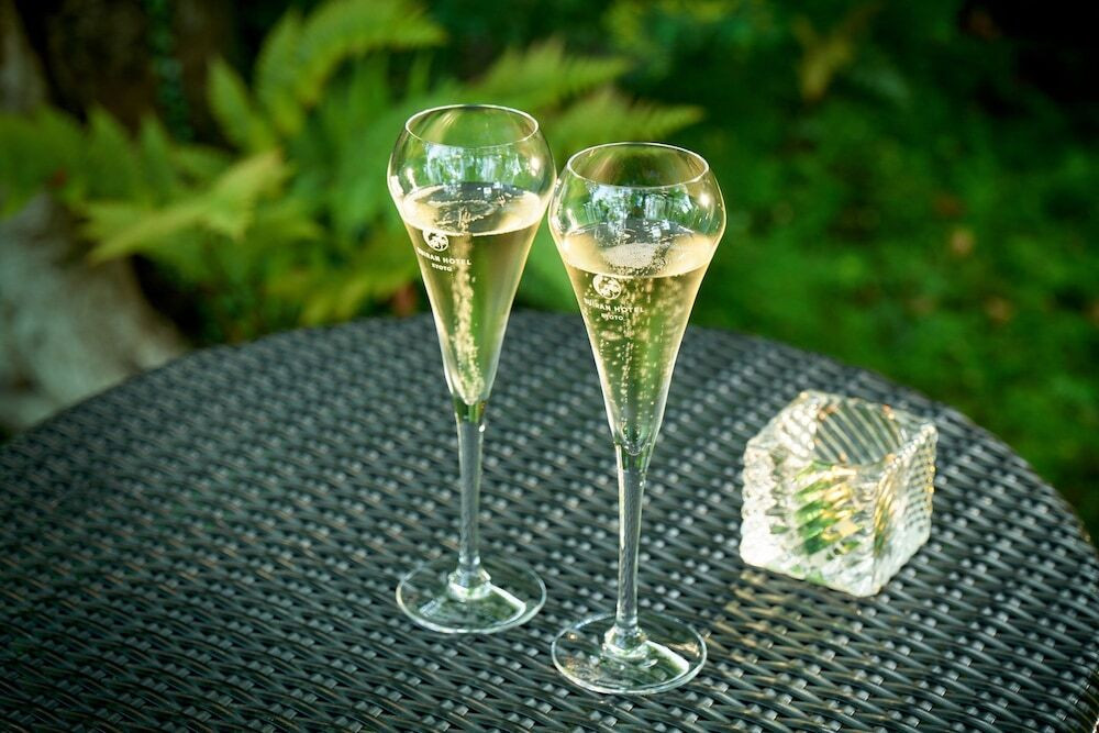 絶景を眺めながら優雅にシャンパンのサービスを3980542