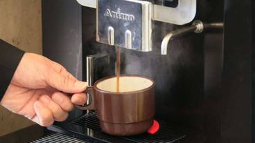 食事・飲み物 / 8