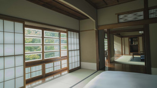 青藤