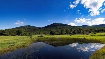 観光スポット / 14