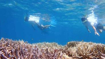 ランド ビュー / 21