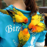 こんなに触れるの！？鳥好きの楽園「掛川花鳥園」で見て・ふれて・癒される女子旅♪
