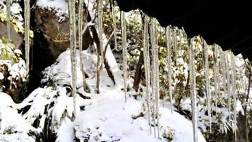 施設の敷地 / 25