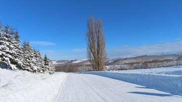 ランド ビュー / 17