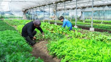 レストラン / 28