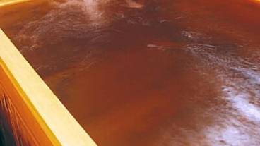 深めの浴槽 / 16