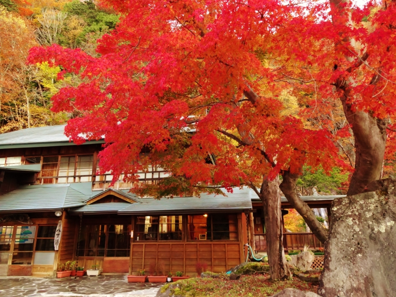 2.八丁の湯4039270