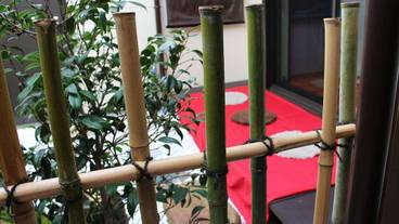 ガーデン ビュー / 14