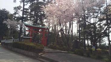 施設の敷地 / 17