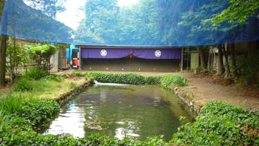 アーチェリー / 3