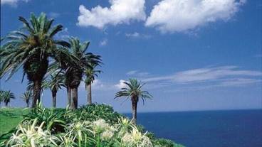 観光スポット / 19