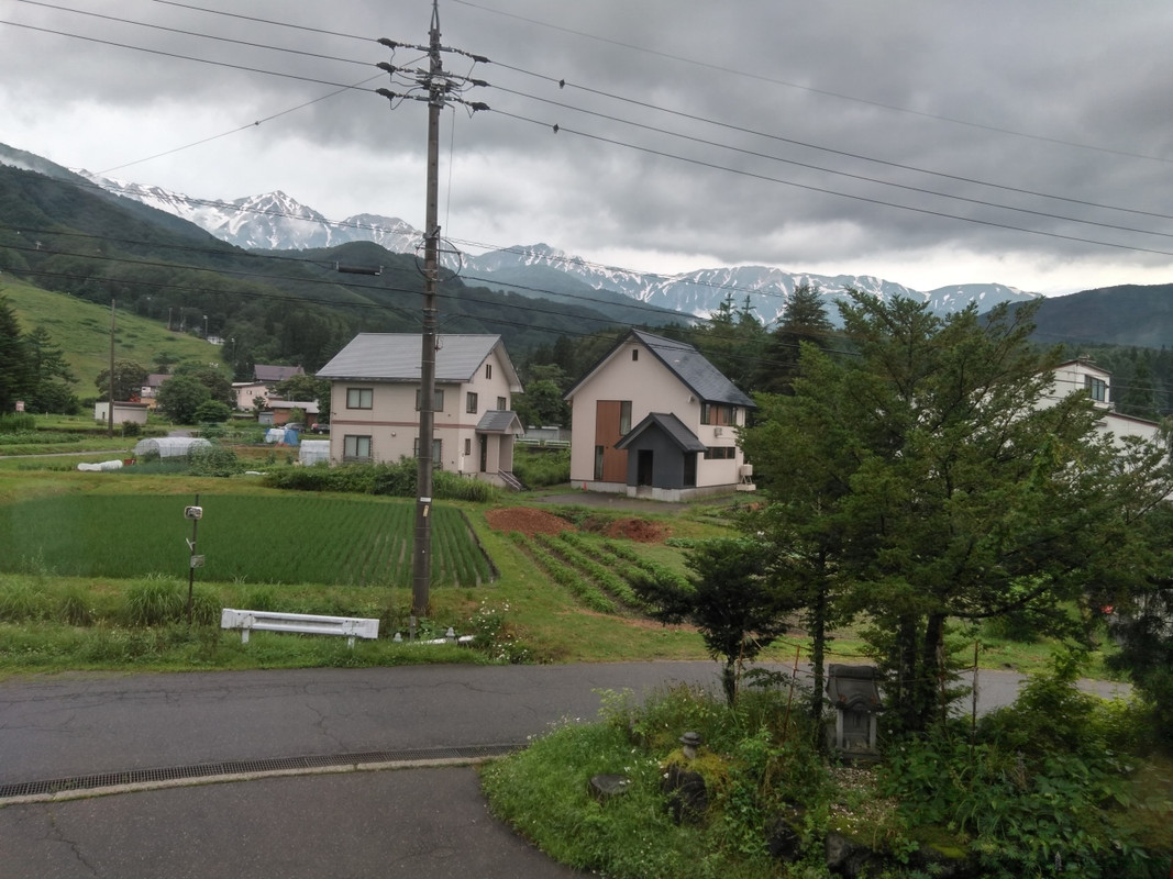 レストランからの眺めです。