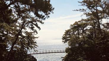 観光スポット / 9