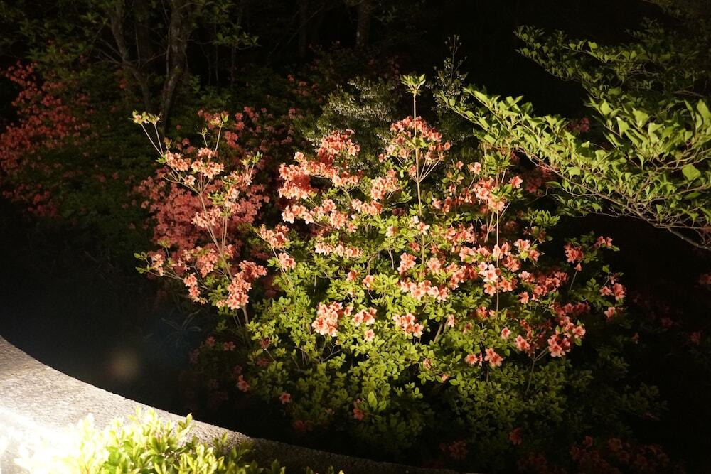 施設からの眺望