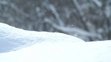 施設からの眺望 / 11