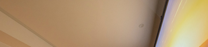 【東京・神奈川】プロジェクターがあるホテル16選！映画や推し活鑑賞会を大画面で♪