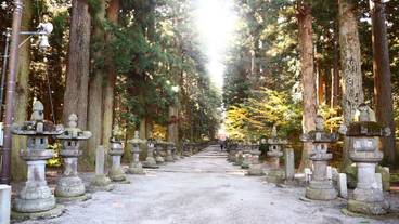 施設からの眺望 / 13