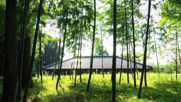 施設の敷地 / 10