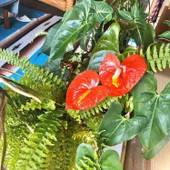 銀河荘 Galaxy Guest House(東京都 ゲストハウス・ホステル・ドミトリー) / 5