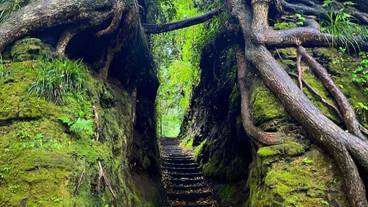 ハイキング / 18