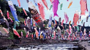 ランド ビュー / 40