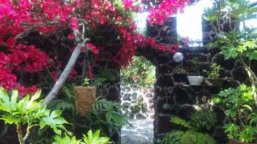 メイン イメージ / 1