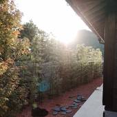 奥音（五島 福江島）（長崎県 コテージ・ロッジ・一棟貸） / 5